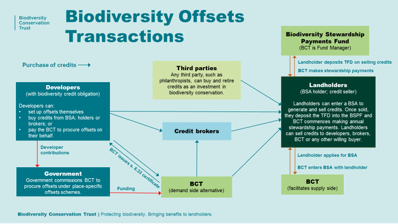 Biodiversity Offsets Program | BCT